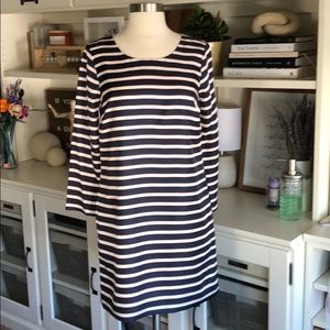 J. Crew Silk Jules Dress